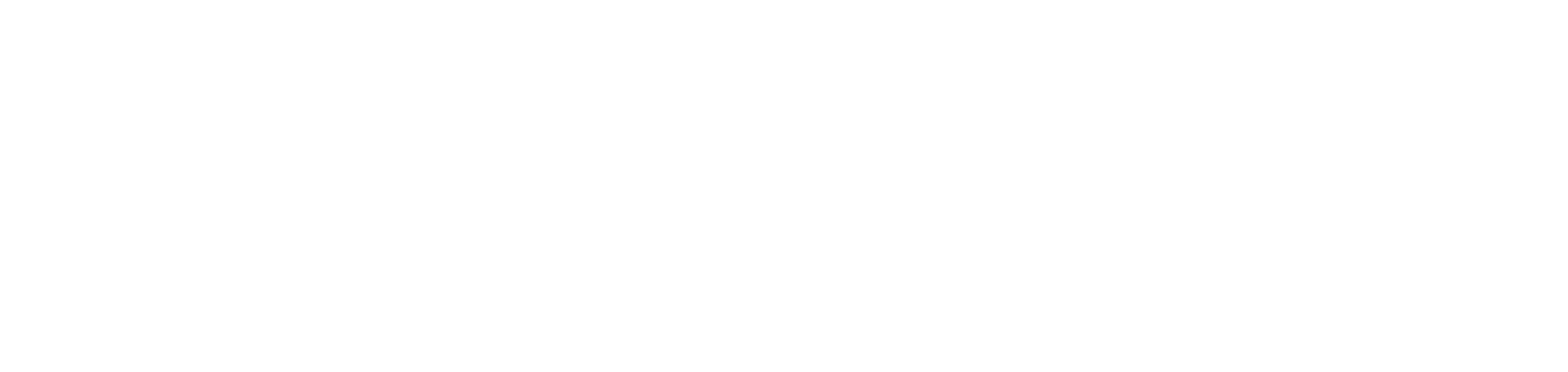 Anthem Software
